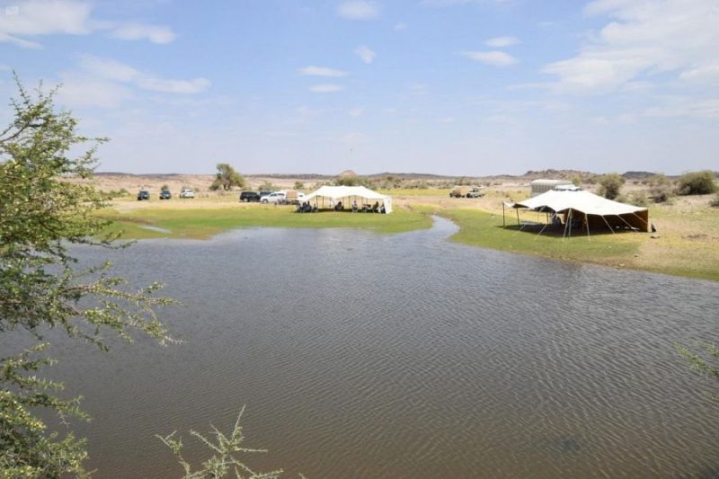 بدر الجنوب: اكتشف سحر الطبيعة والتراث في محافظة نجران