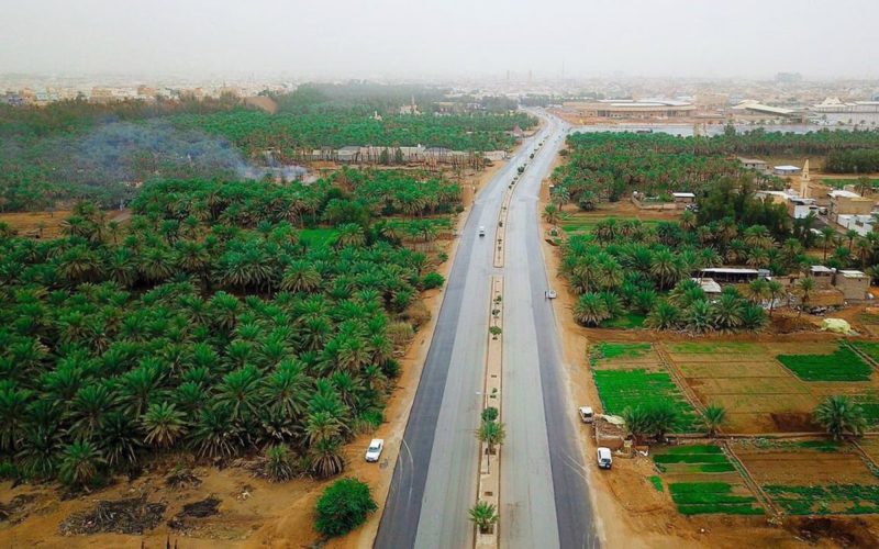 الزراعة المستدامة في السعودية: تنمية مستدامة واقتصاد مزدهر