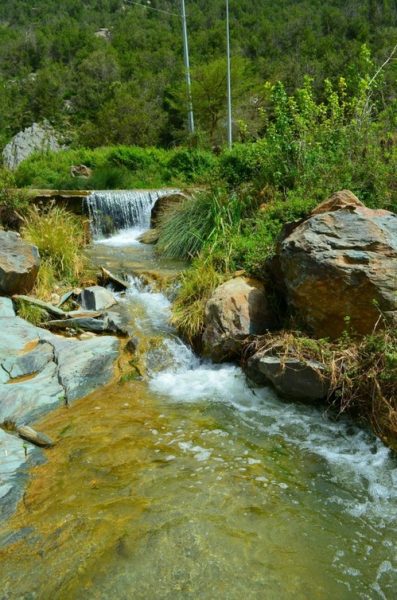 غابة خيرة: مزيج فريد من الطبيعة والتراث الثقافي السعودي