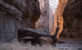 السياحة في وادي النعام: اكتشف الحضارات القديمة بالعلا