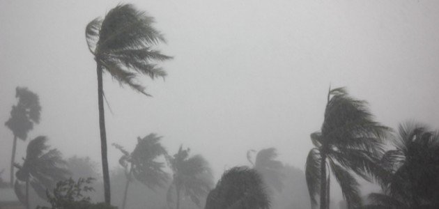 ابن سيرين والرياح القوية: نظرة في تفسير الأحلام القديم