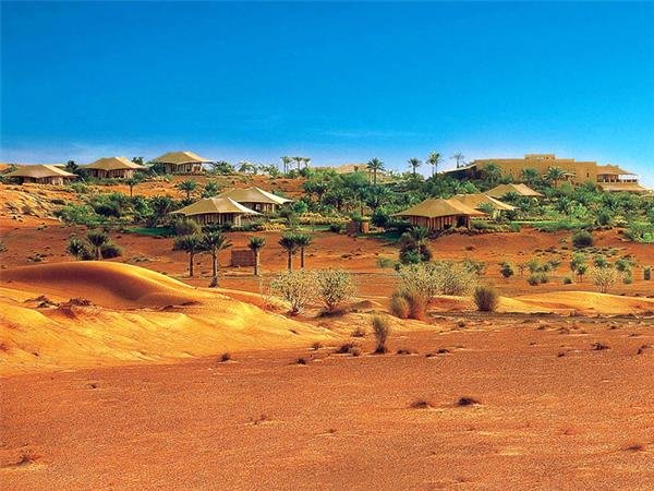 محمية دبي الصحراوية: ملاذ آمن للحيوانات المهددة بالانقراض