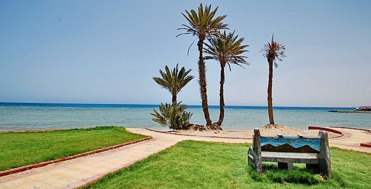 اكتشف سحر شاطئ القف السياحي بتبوك: تجربة استثنائية لا مثيل لها