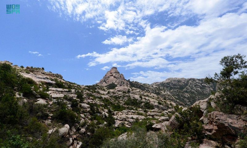 كنوز تنومة: دليل السياحة الثقافية والطبيعية