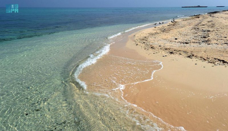 بوابة السعودية: مستقبل الإعلام الرقمي والثقافة