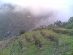 بوابة السعودية: دليلك الشامل للثقافة والإعلام السعودي