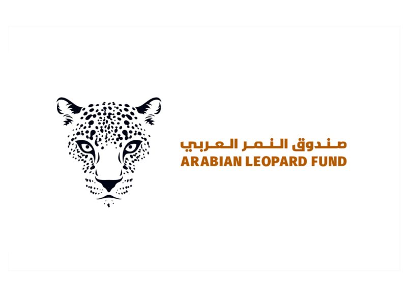 صندوق النمر العربي: جهود متواصلة لحماية النمور العربية