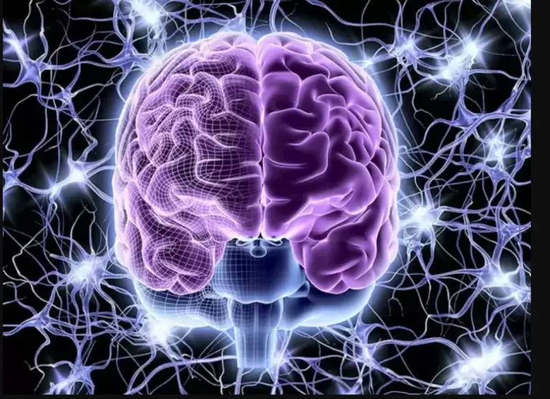 التحكم في الدماغ عن بعد: تقنية Nano-MIND تثير جدلاً واسعاً