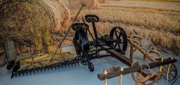 أدوات الزراعة: استثمارات ضرورية لتحقيق الأمن الغذائي