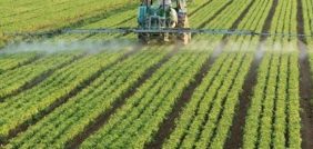 الزراعة المنزلية: كيف تزرع غذاءك بنفسك؟