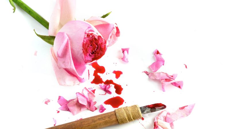 منظمة الصحة العالمية وختان الإناث: كل ما تحتاج معرفته عن هذه القضية