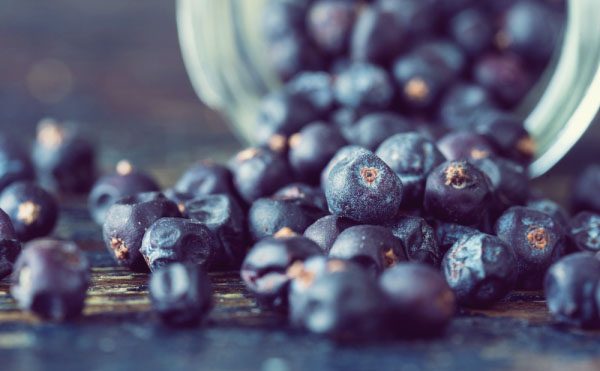 فوائد التوت البري: طريقك نحو علاقة حميمة أكثر متعة