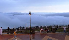 بوابة السعودية: كل ما تريد معرفته عن هذه الموسوعة الإعلامية