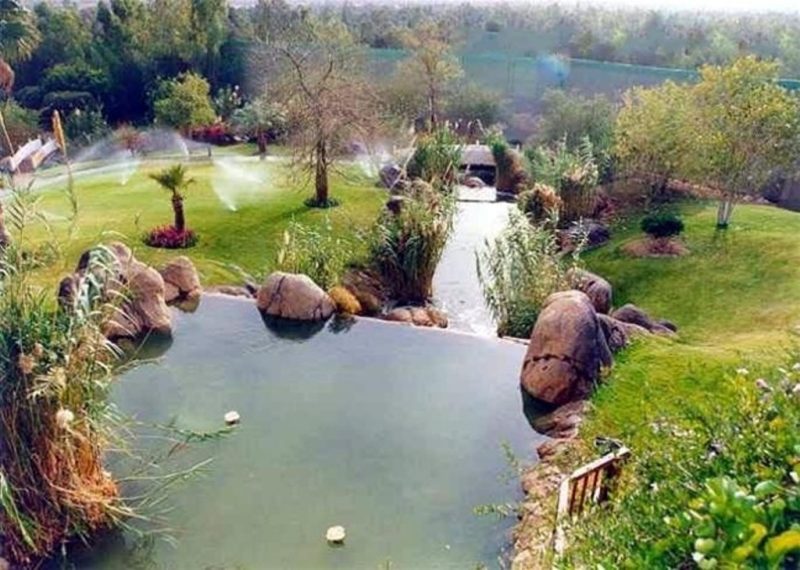 لماذا مزرعة الخالدية هي نموذج للابتكار في البيئة الصحراوية؟