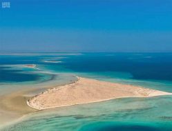 استدامة البحر الأحمر: كيف تحافظ السعودية على كنوزها؟