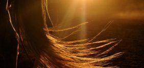 تفسير الأحلام: هل رؤية الشعر خير أم شر؟