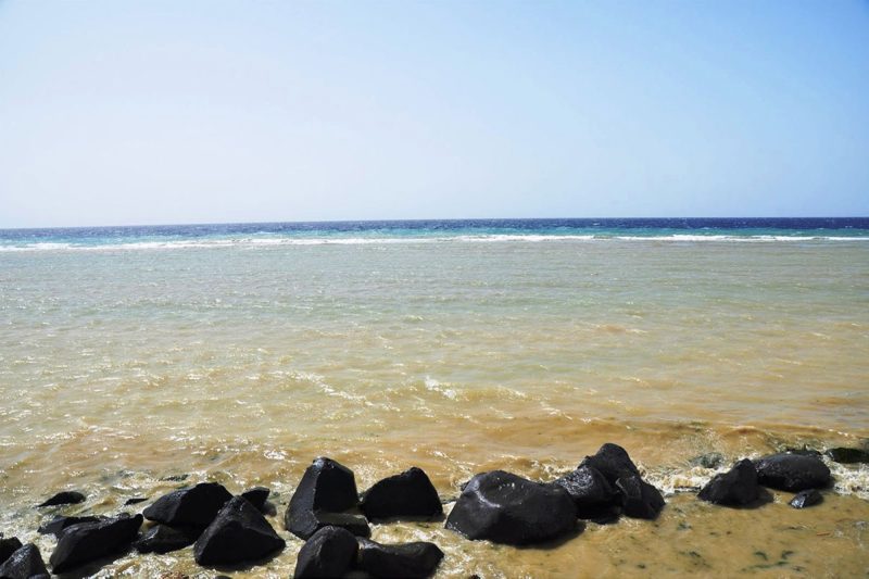 مستقبل اتفاقية جدة الإقليمية في حماية البيئة البحرية