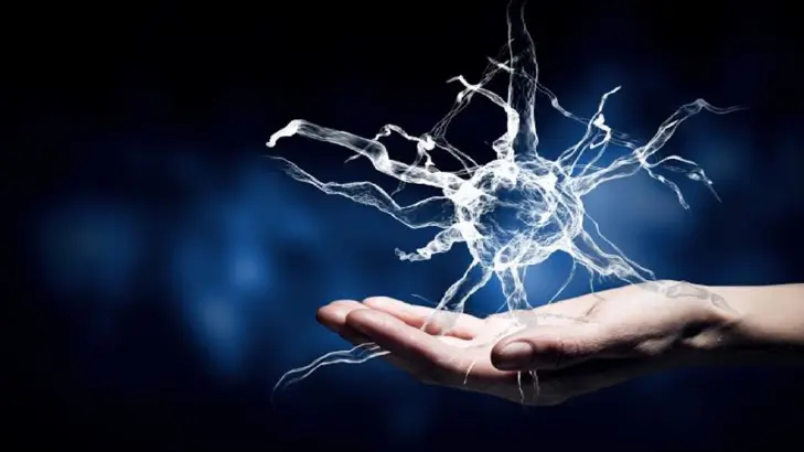 دمج الأعصاب والطب النفسي: مستقبل العلاج الشامل