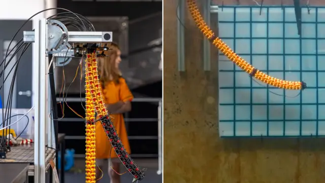 الروبوتات البحرية: الروبوت الثعبان.. أداة حيوية لشركات الطاقة البحرية