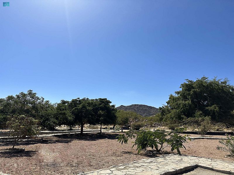 الموسوعة العالمية: تعرف على أحدث التطورات والمستجدات