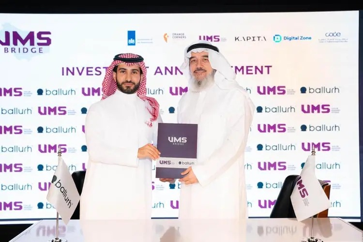 استثمارات في الشركات الناشئة: محفز أساسي للتنمية الاقتصادية