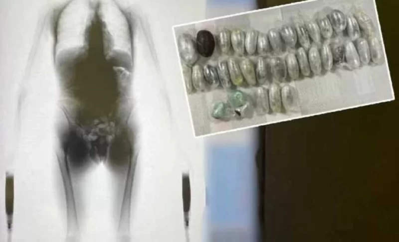 الكويت تحبط تهريب الحشيش: تفاصيل مثيرة من مطار الكويت