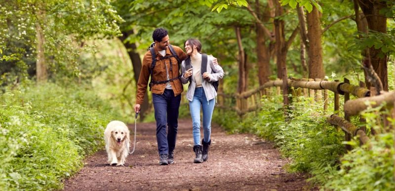 الروابط الزوجية: استثمر في علاقتك وشاهدها تنمو