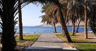 شواطئ حقل: وجهة الأحلام لعطلة صيفية لا تُنسى