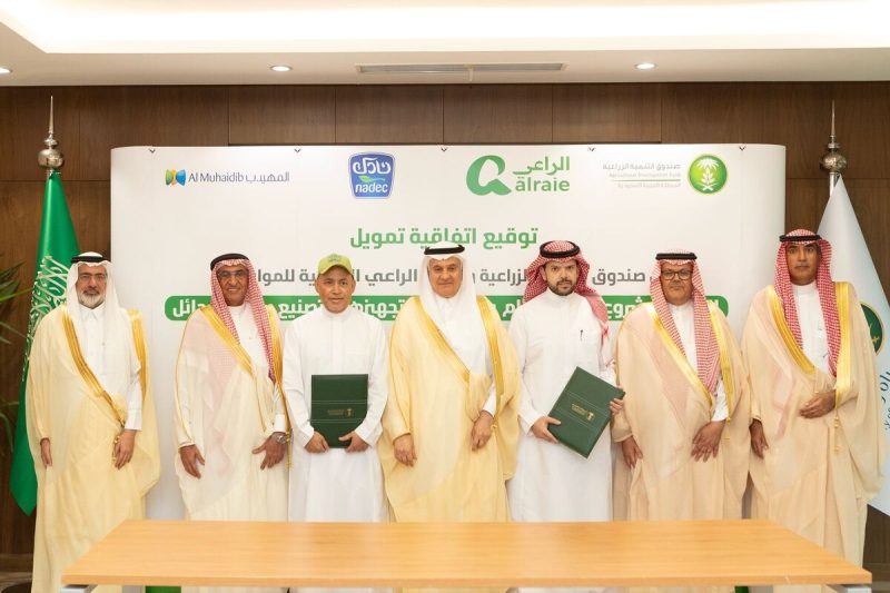 مشروع أغنام حائل: خطوة نحو تعزيز الأمن الغذائي في المملكة