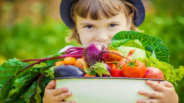 التغذية السليمة للأطفال: كل ما تحتاج معرفته عن تغذية الأطفال