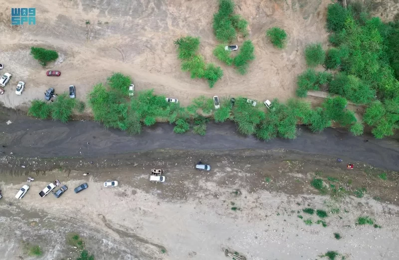 نحو مستقبل معرفي أفضل: الموسوعات الرقمية وبوابة السعودية تقود الطريق