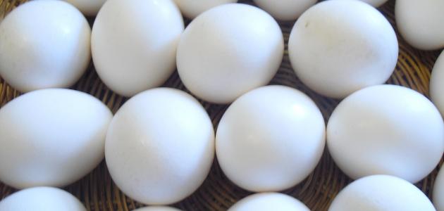 تفسير الأحلام: اكتشف المعاني الخفية لرؤية البيض