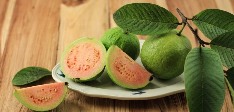 كل ما تحتاج معرفته عن فوائد ورق الجوافة والجنس