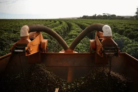 إلغاء الرسوم الجمركية: هل ينعكس على أسعار القهوة بالتجزئة؟