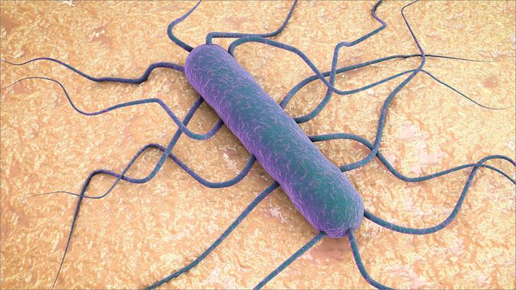 داء الليستريات: أسئلة وأجوبة شاملة لحماية عائلتك