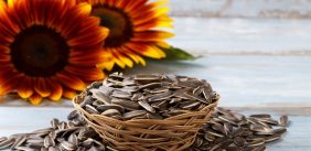 تحسين الصحة الجنسية: فوائد حب دوار الشمس للعلاقة