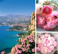 السياحة في الريفيرا الفرنسية: استكشف كوت دازور