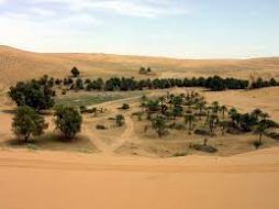 واحات المذنب: لماذا يجب عليك زيارة هذه الواحات الساحرة؟