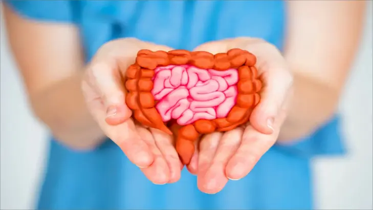 كيفية تحسين صحة الأمعاء بتناول الألياف