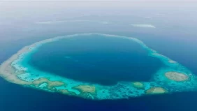 المحميات البحرية: ركيزة أساسية في الاقتصاد الأزرق السعودي