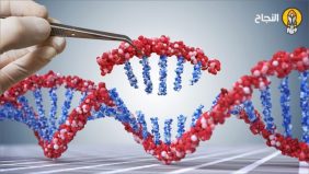 التعديل الجيني: هل هو الحل لمشاكل الغذاء العالمية؟