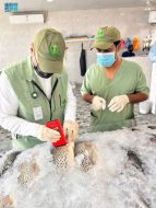 حماية المستهلك: تعزيز الرقابة على الأسواق في الجوف