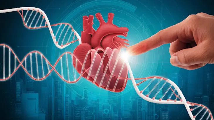أسئلة وأجوبة حول فحوصات الجينات الوراثية لصحة القلب