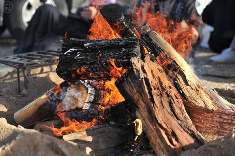 حماية البيئة في السعودية: التحديات والحلول