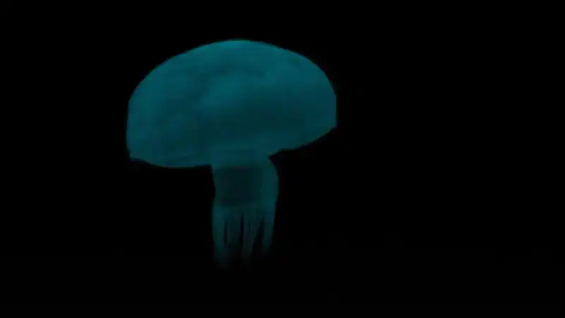 استكشف مستقبل الروبوتات البحرية مع روبوتات قنديل البحر