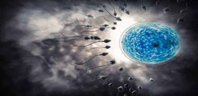 علاج العقم بالخلايا الجذعية: الطريق نحو الأبوة والأمومة