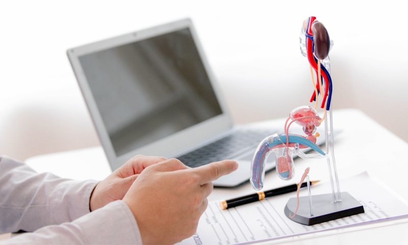 دعامة الانتصاب: نظرة مفصلة على الأسعار والعوامل المؤثرة