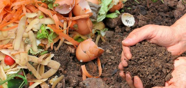 اكتشف قوة سماد البوتاسيوم في تعزيز صحة التربة وزيادة الإنتاج الزراعي