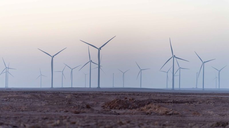 الاقتصاد الأخضر في السعودية: خطط طموحة لمستقبل أكثر استدامة