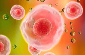 علاج ضعف الانتصاب بالخلايا الجذعية: الأسعار والتكاليف المتوقعة